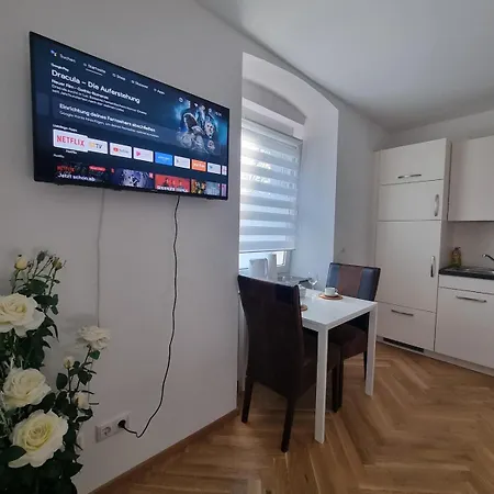 Ravensburg Studio Apartment 아파트